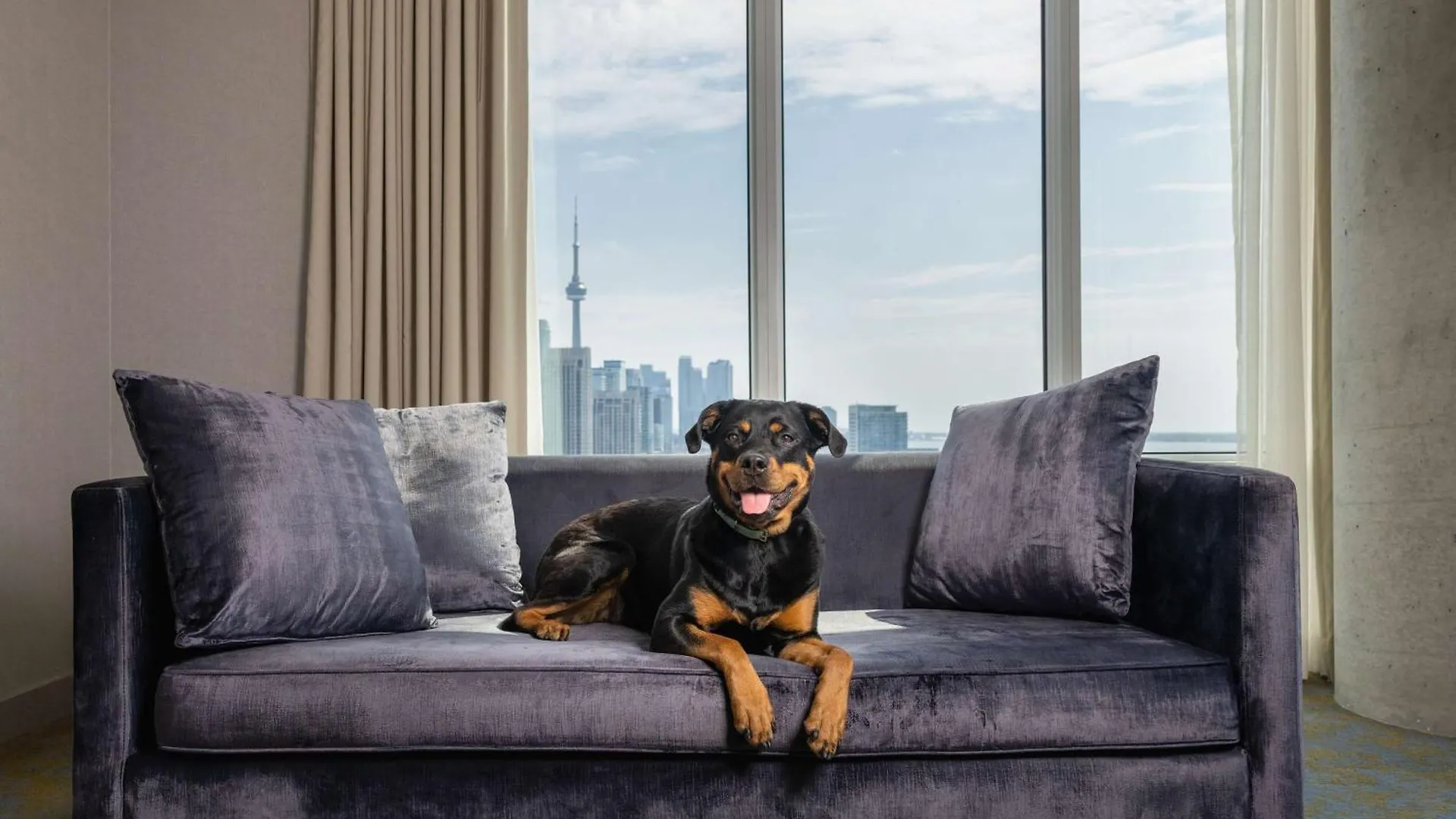 Hotel X Toronto, A Destination By Hyatt Hotel